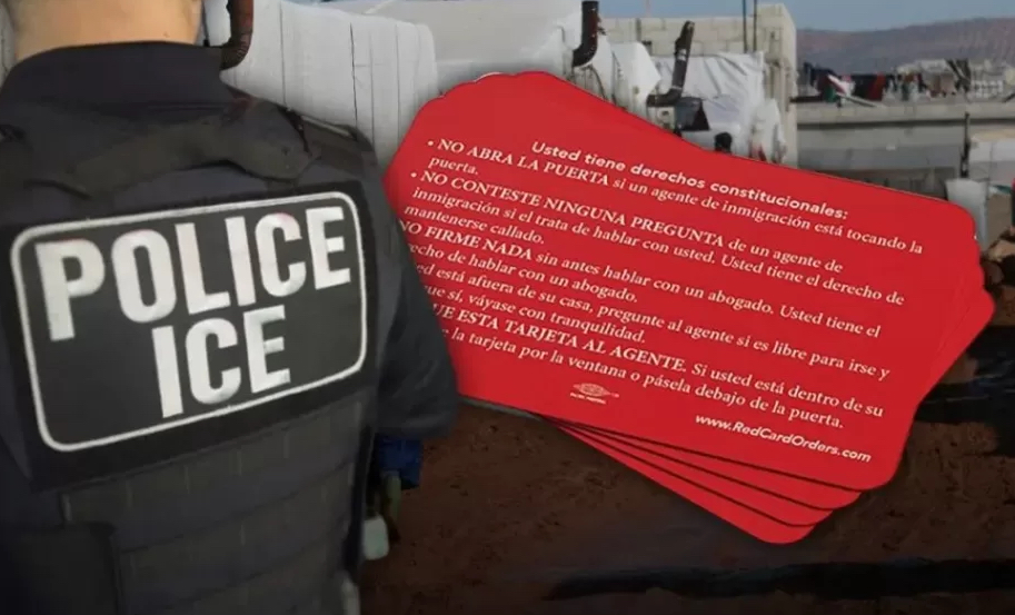 Tarjeta Roja: Documento esencial para inmigrantes en&nbsp;EE.UU.