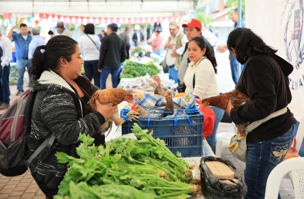 Más de 100 productores participan en la Feria del Agricultor en la capital de&nbsp;Guatemala
