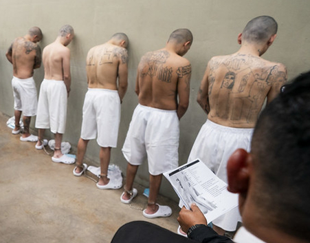 MS-13: Otro líder arrestado en&nbsp;Virginia