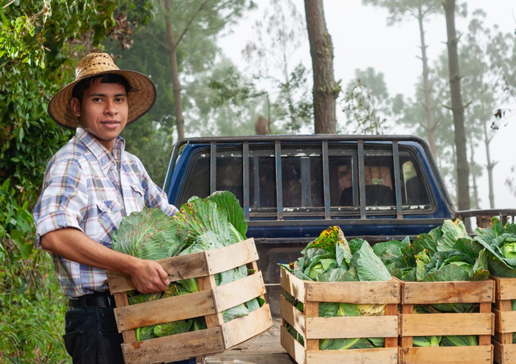 Empresa guatemalteca promueve la estabilidad económica por medio de soluciones&nbsp;confiables