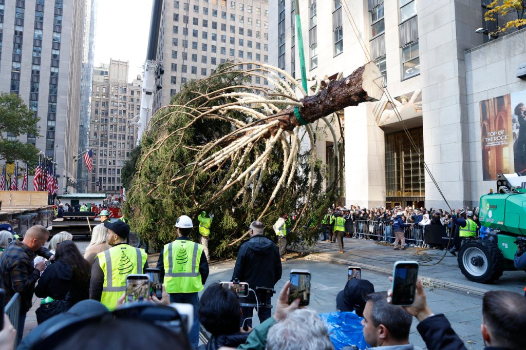 Historia detrás del árbol de Navidad en Rockefeller&nbsp;Center