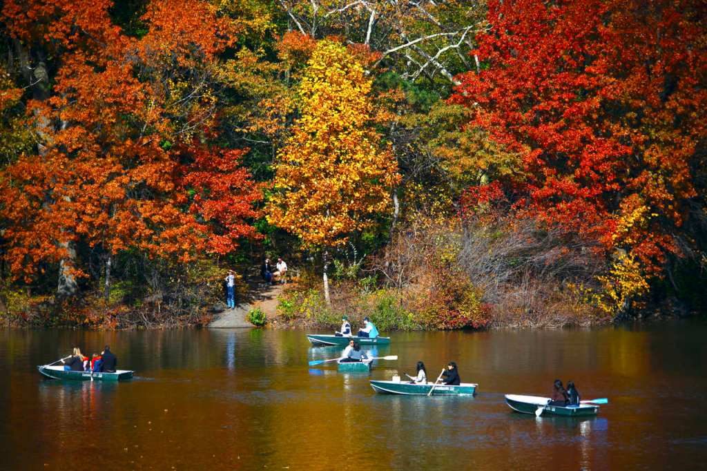 Otoño dorado en Central Park: La magia del Ángel de las&nbsp;Aguas