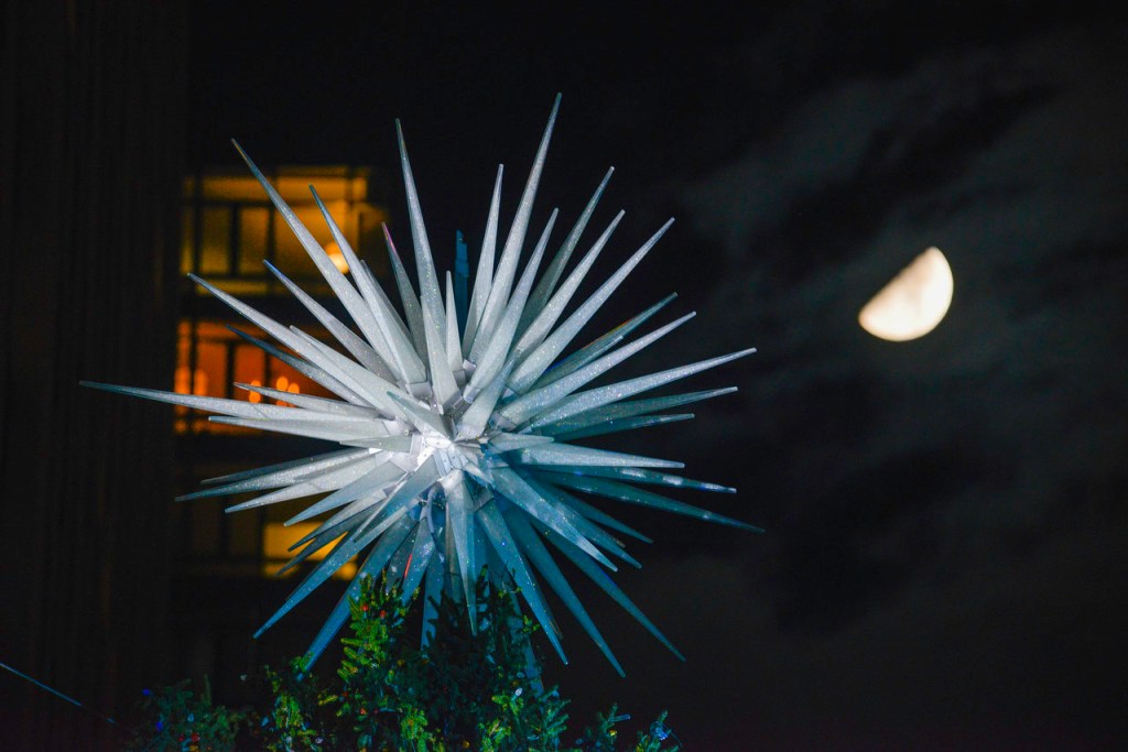 El espíritu de la Navidad vuelve a encenderse: el árbol del Rockefeller Center inicia su viaje a Nueva&nbsp;York