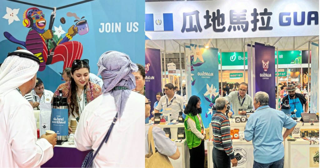 Café guatemalteco es promovido en el World of Coffee Dubai&nbsp;2026
