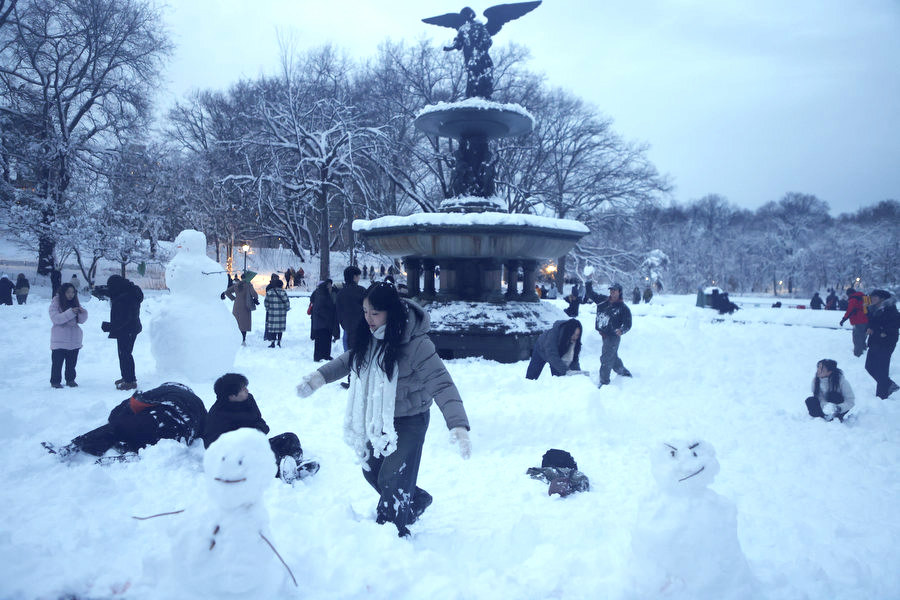 Diversión Invernal en Central Park: De la Tormenta a la&nbsp;Fiesta