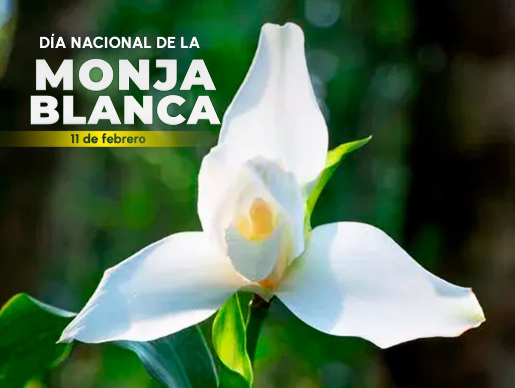 Conmemoración de la Monja Blanca en&nbsp;Guatemala