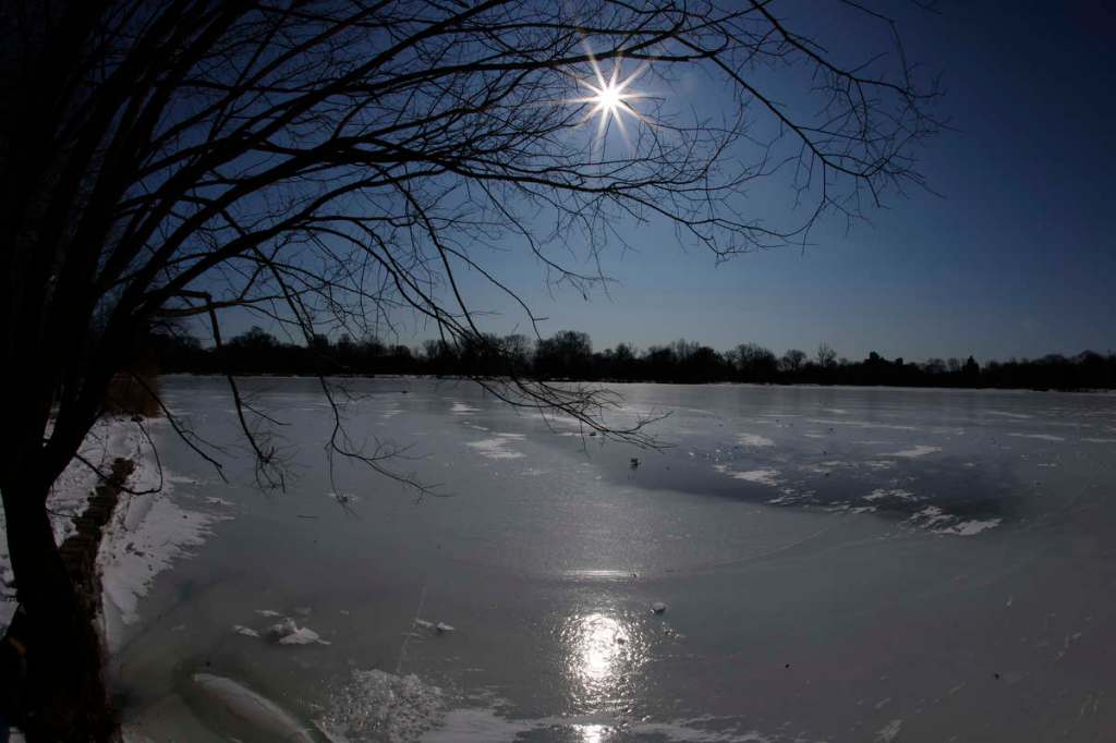 Prospect Park se congela mientras la vida resiste al frío&nbsp;extremo
