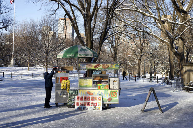 La llegada de la primavera: Climas inestables y calidez progresiva en&nbsp;NY