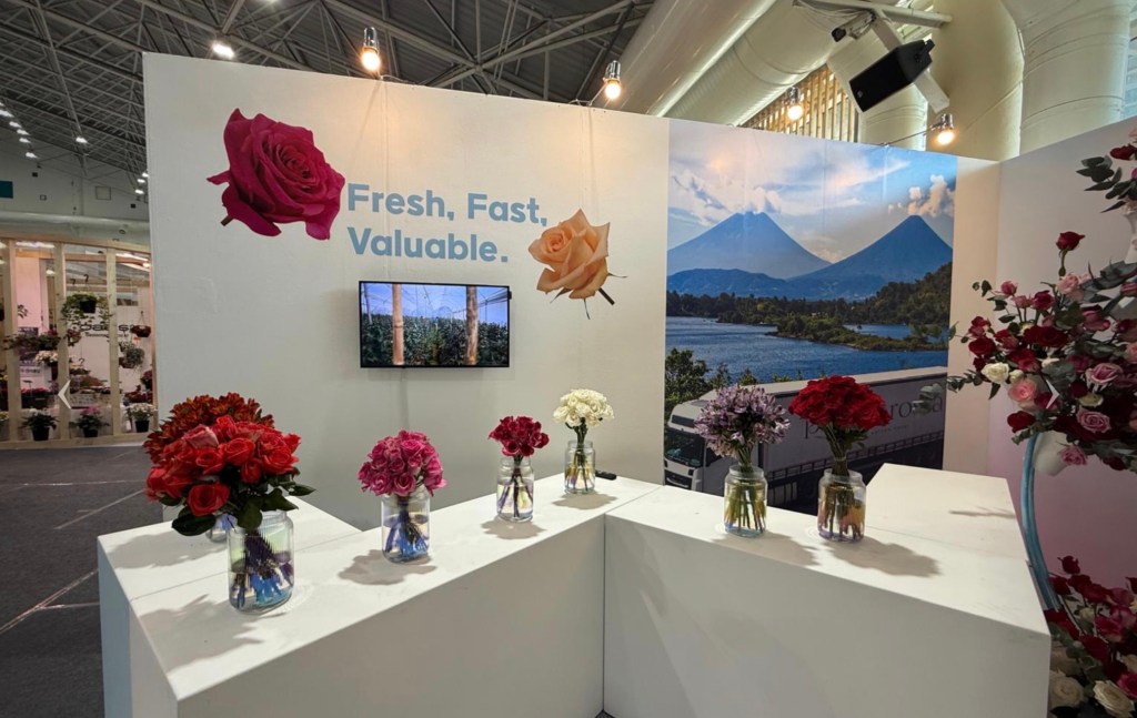 Flores guatemaltecas conquistan miradas en Corea del&nbsp;Sur