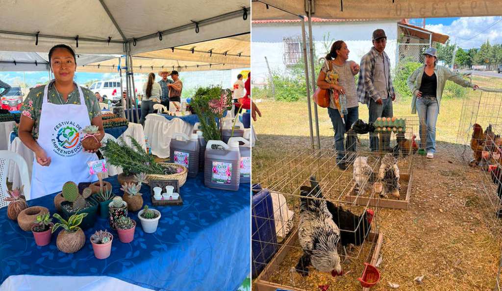 Feria del Agricultor: Productos frescos en&nbsp;Jalapa
